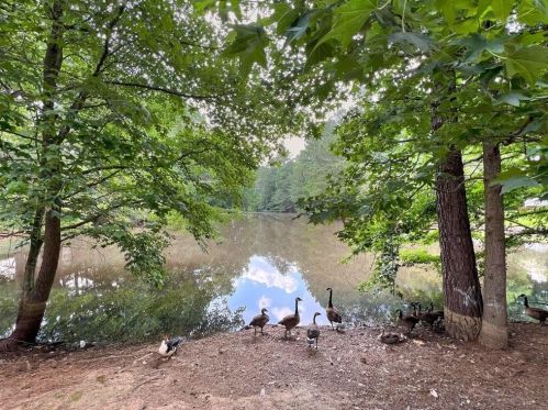 3416 Highland Pne Way, Duluth GA 30096-3881 exterior