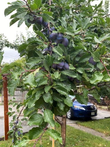 1241 23rd St, Milwaukee, WI 53204-1906