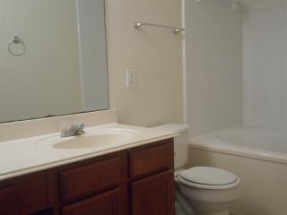 3507 Fuller Bluff Dr, Spring TX  77386-3491 exterior