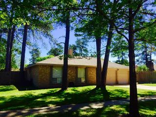 22206 Walnut Valley Dr, Spring TX  77389-4796 exterior