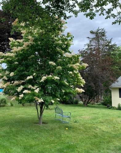 8 Casper Crk Rd, Poughkeepsie NY 12603-5004 exterior