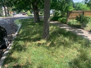 8507 Buffalo Ave, Chicago IL  60617-2612 exterior