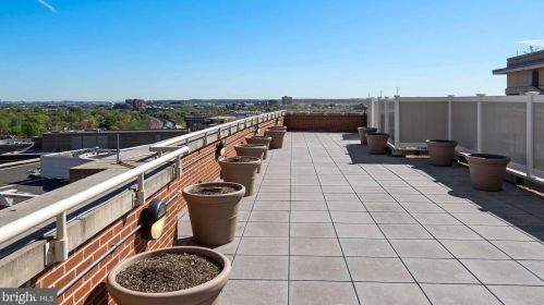 2050 Jamieson Ave, Alexandria VA  22314-6824 exterior