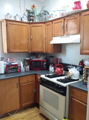 2619 Kimball Ave, Chicago IL  60647-1289 exterior