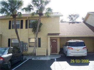 7513 Camarina Calle, Tampa, FL 33615-2410