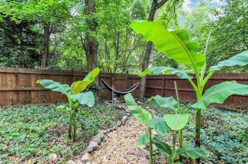 3867 Mcelroy Rd, Atlanta GA 30340-2328 exterior