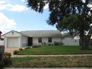 12405 Cardiff Dr, Tampa, FL 33625-6587