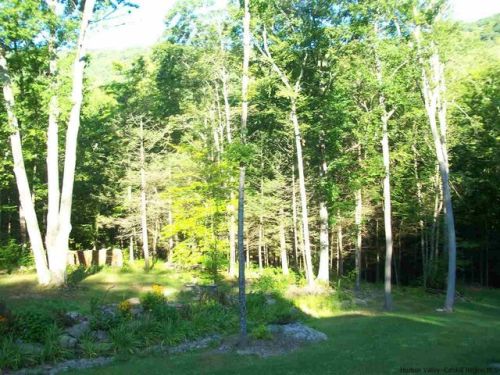 195 Muddy Brook Rd, Phoenicia, NY