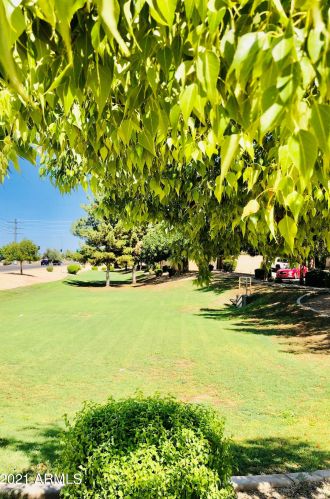 6008 16 Dr, Phoenix AZ 85015-1423 exterior