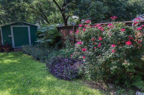 1809 Alguno Rd, Austin TX 78757-3222 exterior