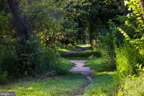 3923 Old Dominion Blvd, Alexandria VA 22305-1559 exterior