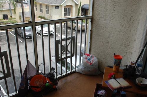 5040 Sunridge Palms Dr, Tampa FL 33617-1400 exterior