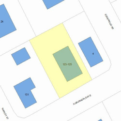 125 Auburndale Ave, Newton MA 02465-1421 plot plan