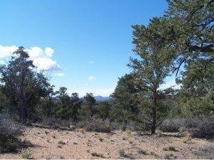 13550 White Cloud Rd, Prescott, AZ