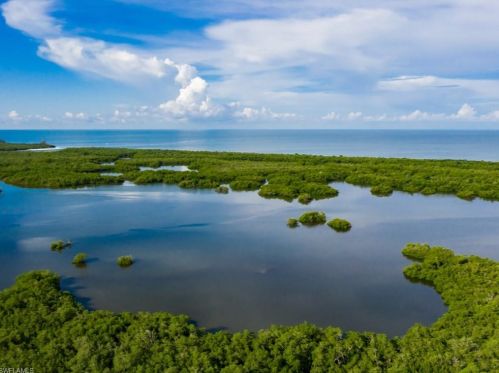 503 Arbor Lake Dr, Naples FL 34110-8694 exterior