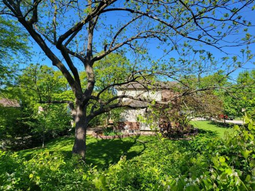 1 Crabapple Ct, Saint Louis MO 63132-3422 exterior