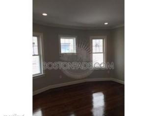 43 Beech Glen St, Boston MA  02119-1427 exterior