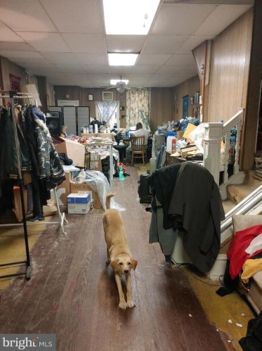 252 52nd St, Philadelphia PA  19139-4004 exterior