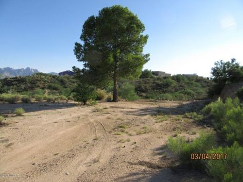 15535 Lago Del Oro Pkwy, Tucson, AZ 85739-9620