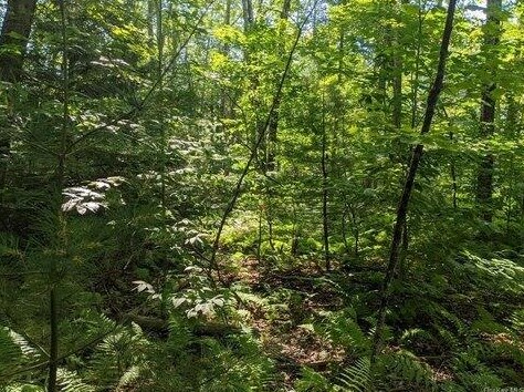 7345 59th St, Grand Junction, MI