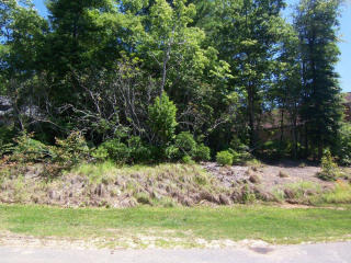 7 Old Bridge Cir, Fairview, NC 28730-5503