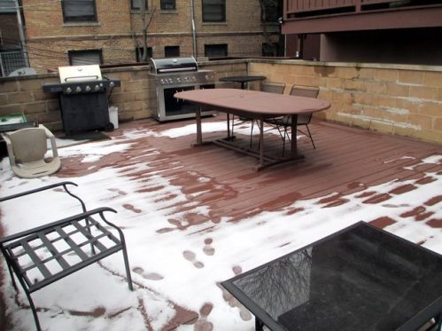 2250 Cleveland Ave, Chicago IL  60614-3749 exterior