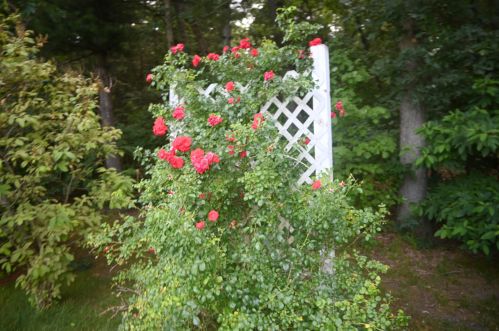 346 Densmore St, Meskegon MI 49442-1511 exterior