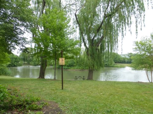 366 Commonwealth Ln, Elmhurst IL 60126-4918 exterior