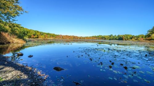 1117 Boylston St, Boston MA exterior