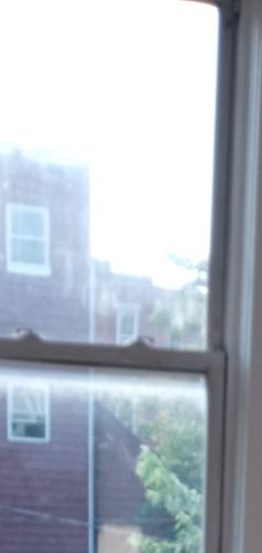 2248 21 St, Chicago IL 60608-2501 exterior