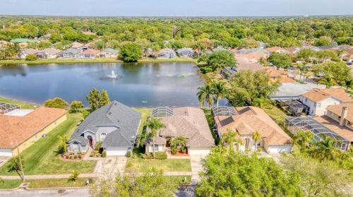 10041 Oasis Palm Dr, Tampa FL 33615-2779 exterior