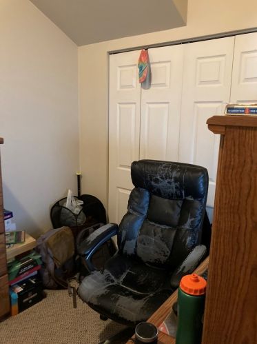 3040 Greenview Ave, Chicago IL 60657-3115 exterior