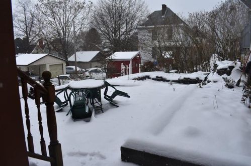 115 Chestnut St, Pittsburgh, PA 15202-2617