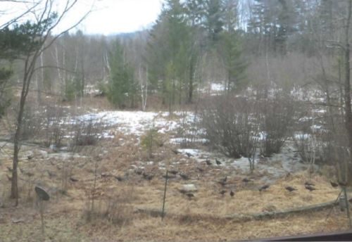 754 County Road 6, Stanford MN 55080-8018 exterior