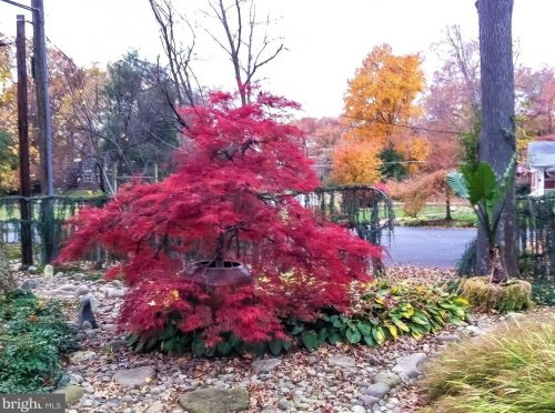 4512 Dolphin Ln, Alexandria VA 22309-3110 exterior