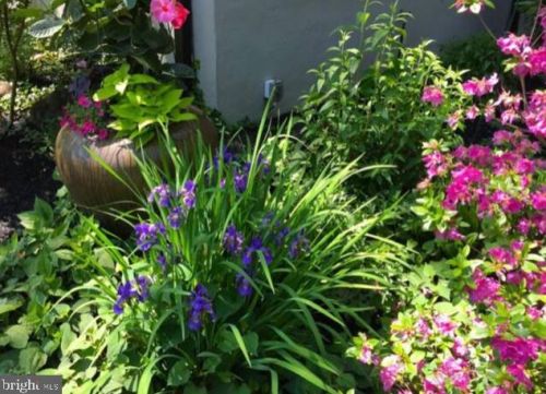 398 Lakeside Rd, Ardmore PA exterior