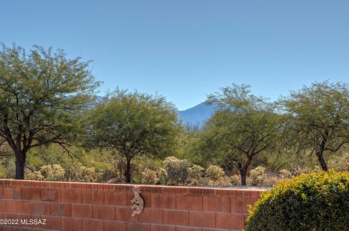 919 Ashworth Rd, Green Valley, AZ 85614-5915