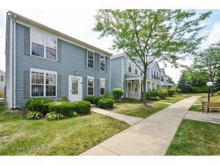 1017 Symphony Dr, Aurora IL  60504-5518 exterior