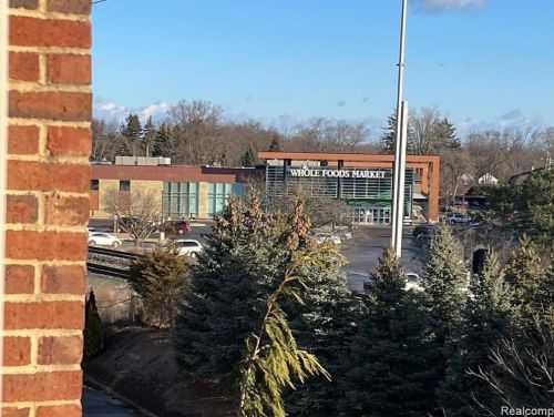 519 Lewis St, Bham, MI 48009-6563