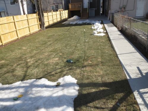 2922 48 Ct, Chicago IL 60804-3622 exterior