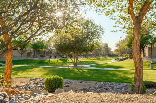 854 County Down Dr, Chandler AZ 85249-8985 exterior