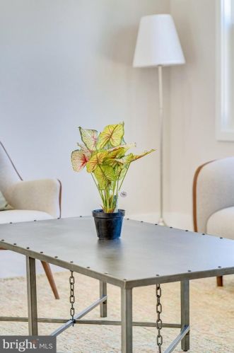 3445 Little Hunting Crk Dr, Alexandria VA 22309-1923 exterior