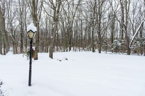 2910 5 St, Kalamazoo MI 49009-8589 exterior