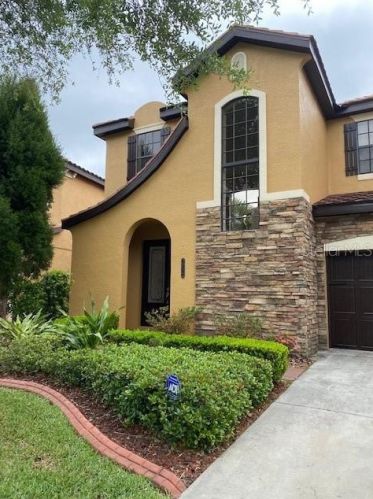 20323 Chestnut Grove Dr, Tampa FL  33647-3345 exterior