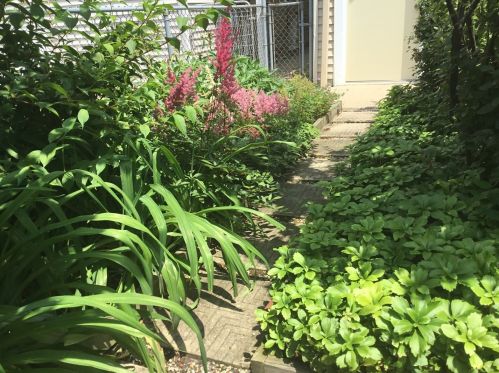 3822 Seeley Ave, Chicago IL 60645-5511 exterior