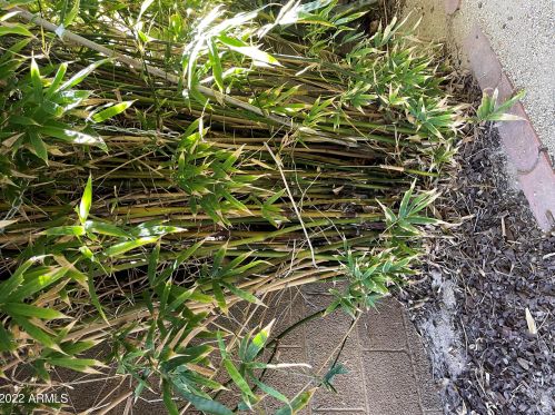 1620 Acoma Dr, Phoenix AZ 85032-5226 exterior