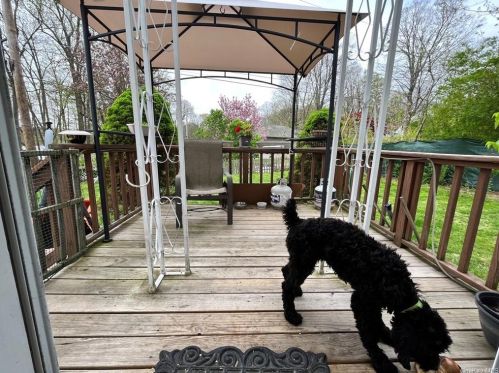 98 Lake Shore Dr, Patterson NY 12563-5608 exterior