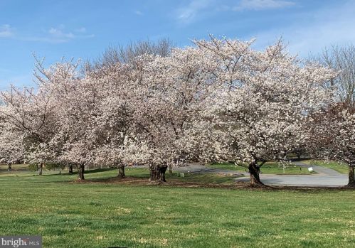 19840 Meredith Dr, Rockville MD 20855-2426 exterior