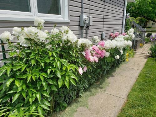 3825 84, Milwaukee WI 53228-1705 exterior