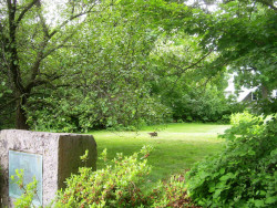 1179 Centre St, Newton, MA 02459-1533